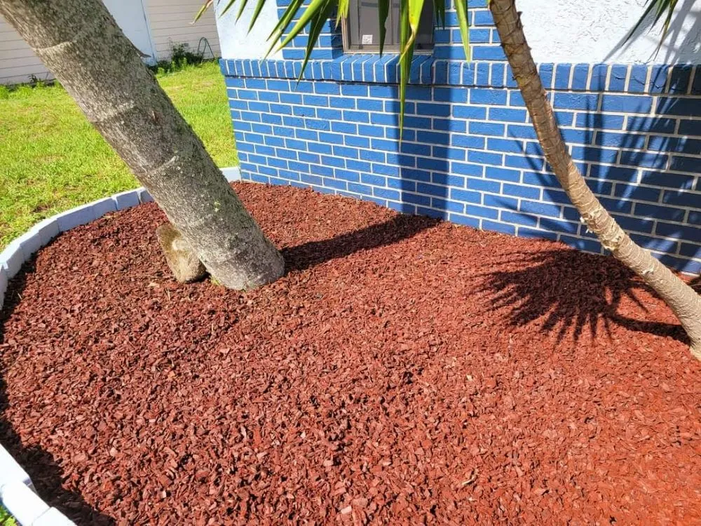 Reliable lawn care service experts serving Orange City, FL - Louis and Stardema Elite Landscaping