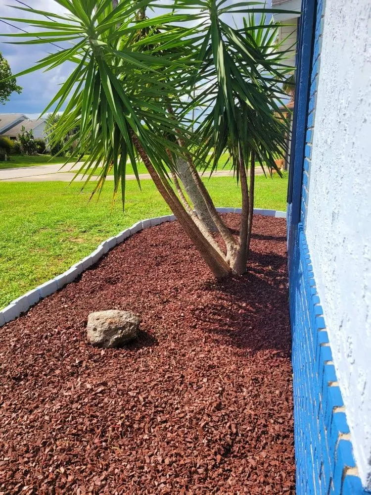 Trusted yard cleanup service in Orange City, FL by Louis and Stardema Elite Landscaping