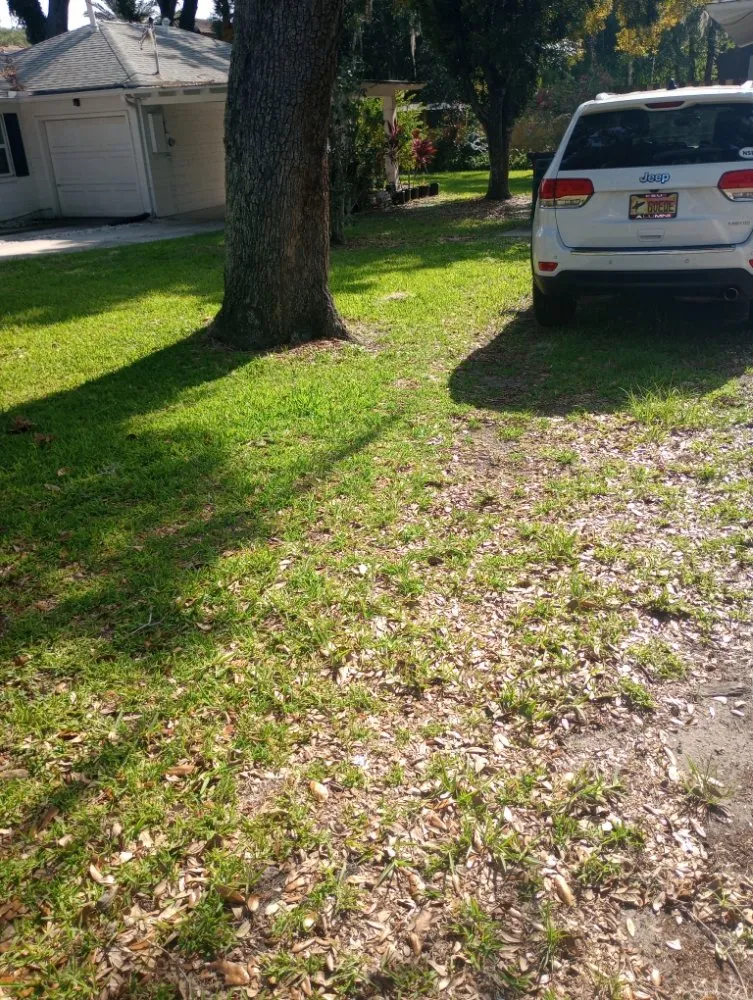 Top-rated residential landscaping in Orange City, FL by Louis and Stardema Elite Landscaping