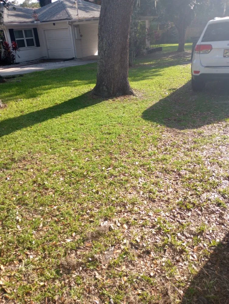 Local yard cleanup service in Orange City, FL - Louis and Stardema Elite Landscaping