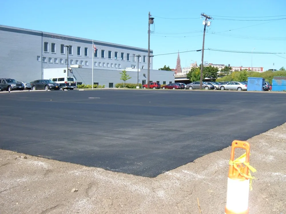 Reliable yard maintenance experts serving Buffalo, NY - Louis Del Prince & Sons