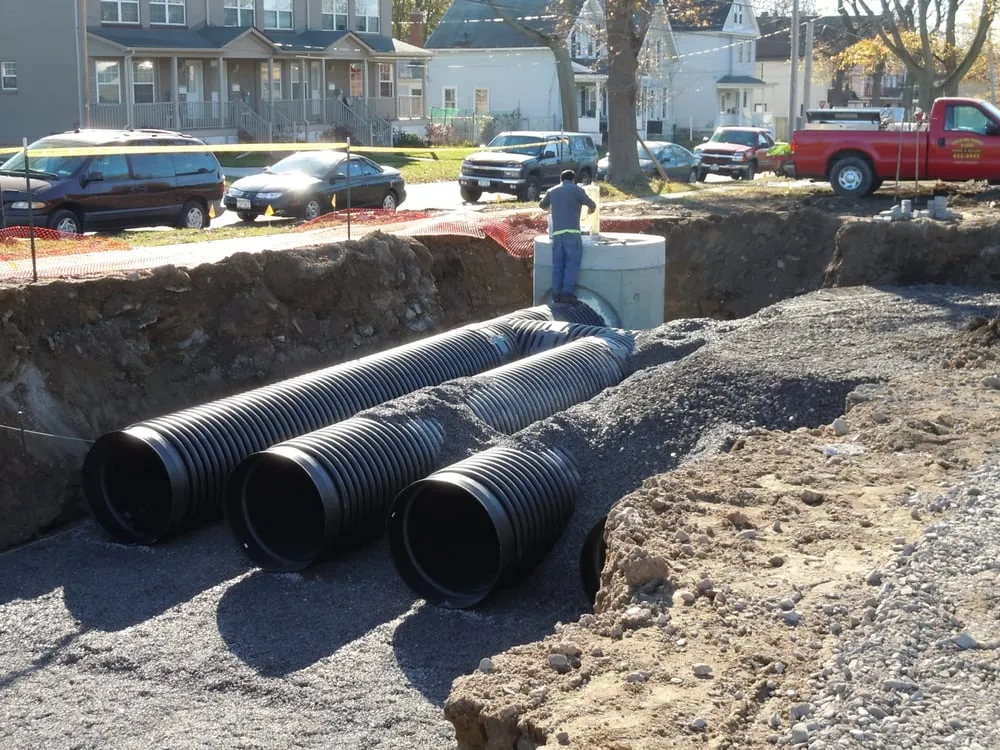 Affordable yard cleanup service in Buffalo, NY by Louis Del Prince & Sons