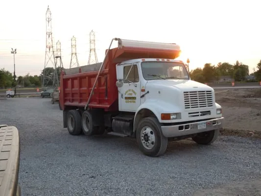 Louis Del Prince & Sons Logo