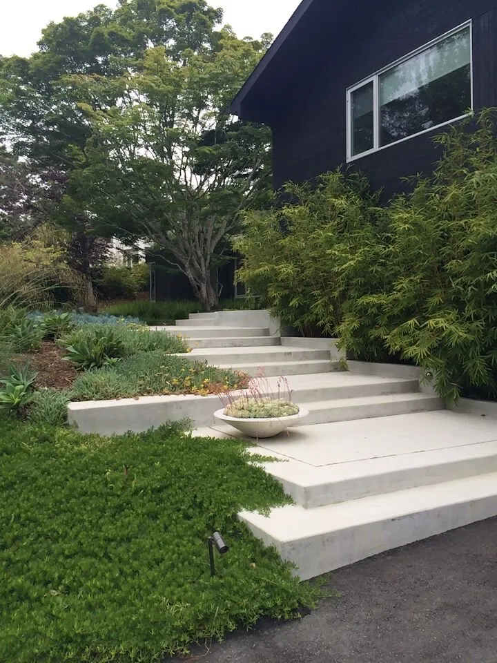 Affordable landscape design for beautiful yards across San Francisco, CA - Louis Devereux Landscapes