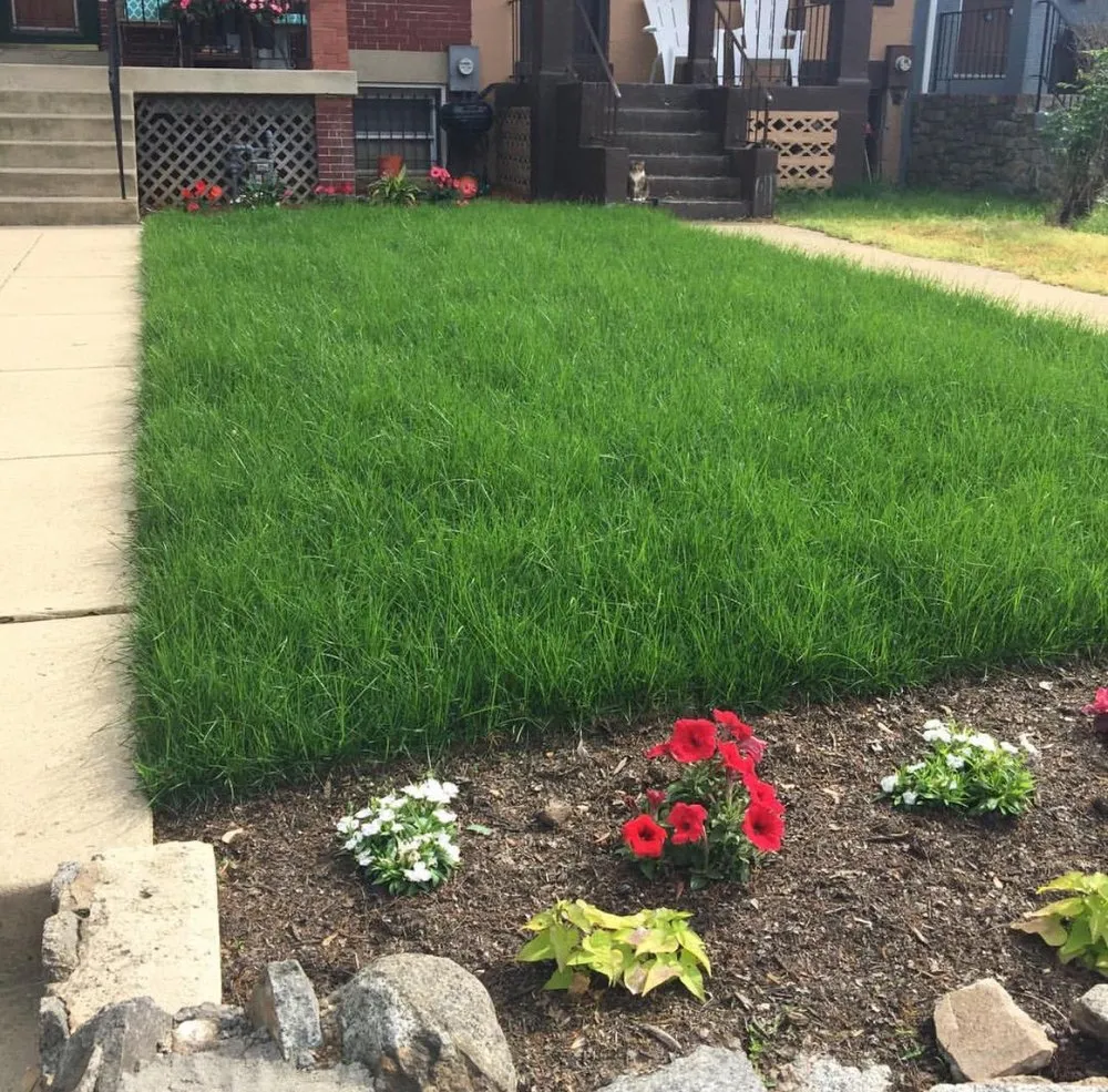 Custom garden landscaping in Silver Spring, MD by Louis Lawn and Landscaping