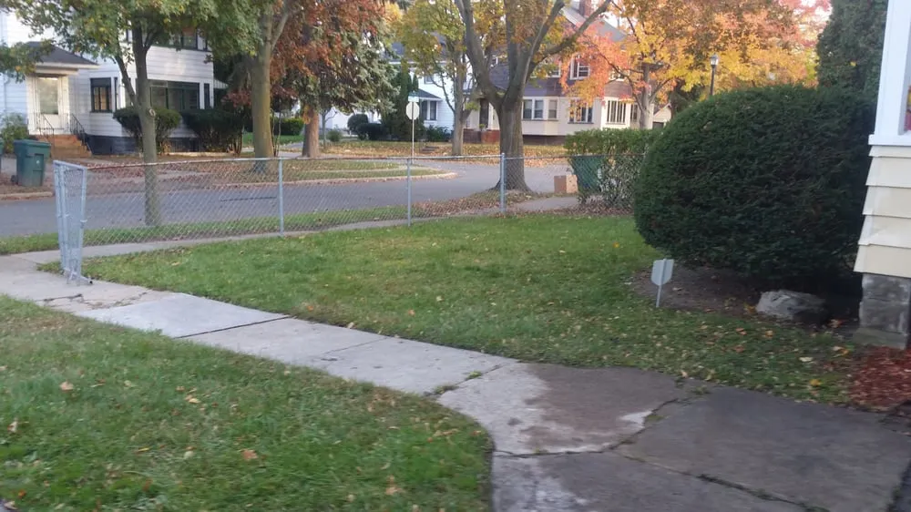 Reliable yard cleanup service in Rochester, NY - Louis Lawn Care & Snow Plow