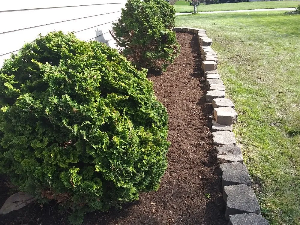 Professional residential landscaping experts serving Rochester, NY - Louis Lawn Care & Snow Plow