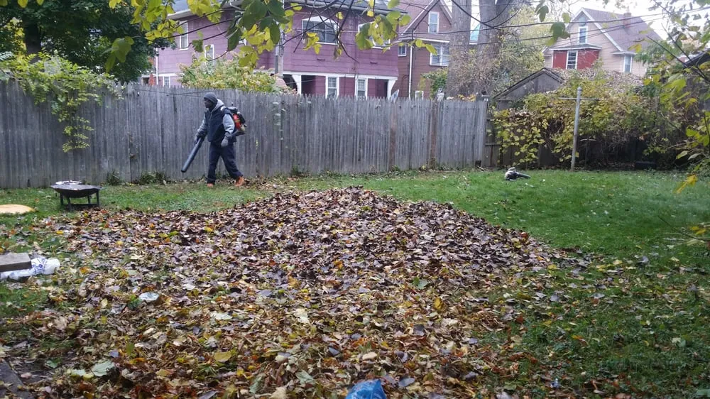 Expert lawn care service experts serving Rochester, NY - Louis Lawn Care & Snow Plow