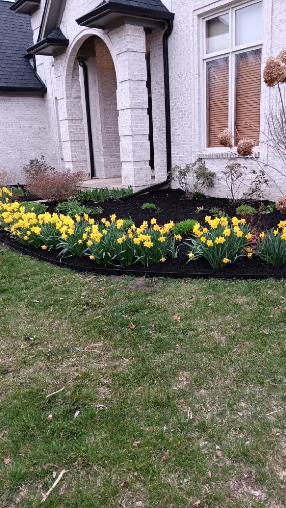 Reliable lawn mowing service experts serving North Baltimore, OH - Louis Lawn Care