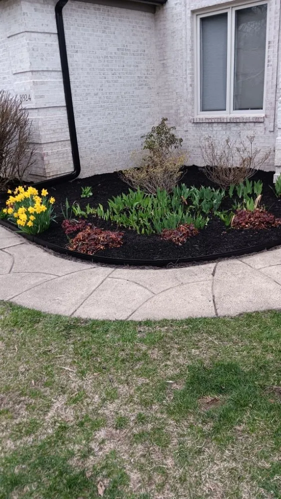 Reliable lawn mowing service for year-round maintenance across North Baltimore, OH - Louis Lawn Care