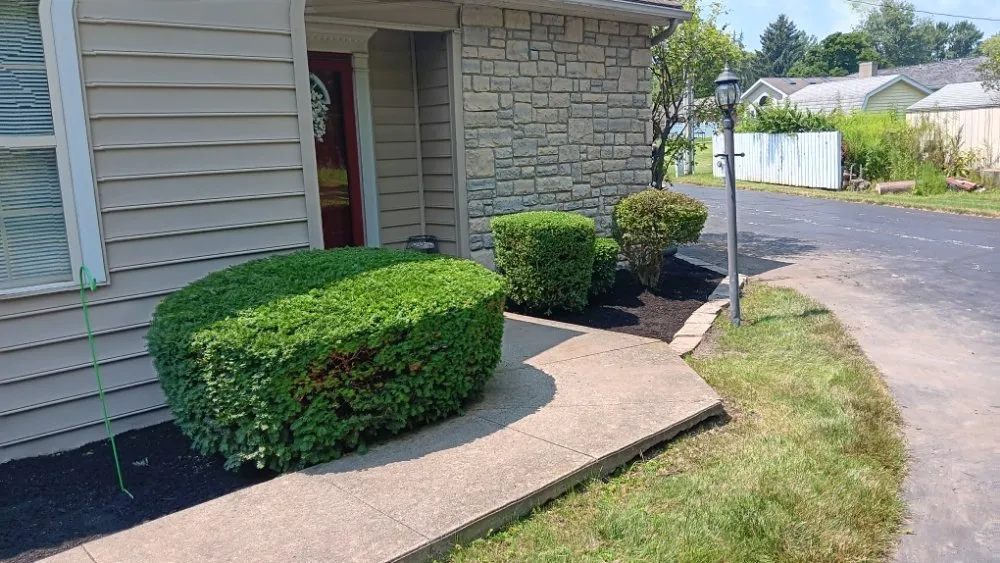 Trusted yard maintenance experts serving North Baltimore, OH - Louis Lawn Care