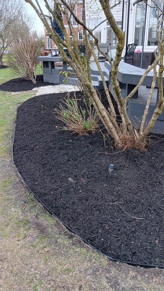 Reliable lawn care service in North Baltimore, OH - Louis Lawn Care