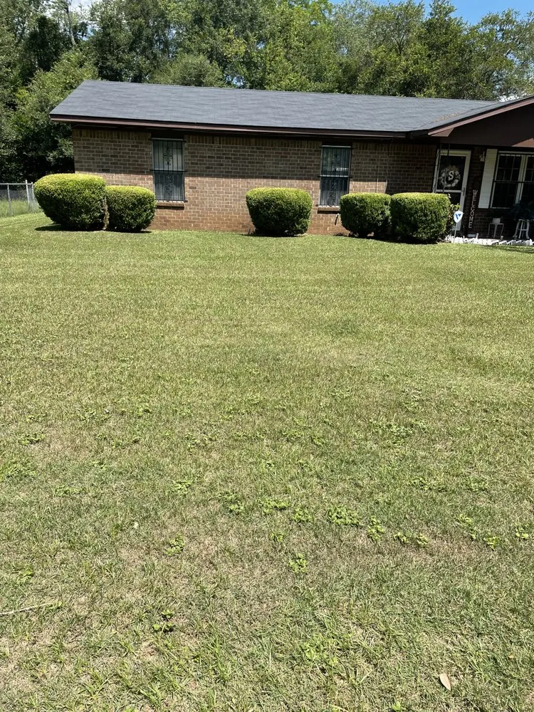 Trusted landscape design in Albany, GA by Louis Lawn Care Service
