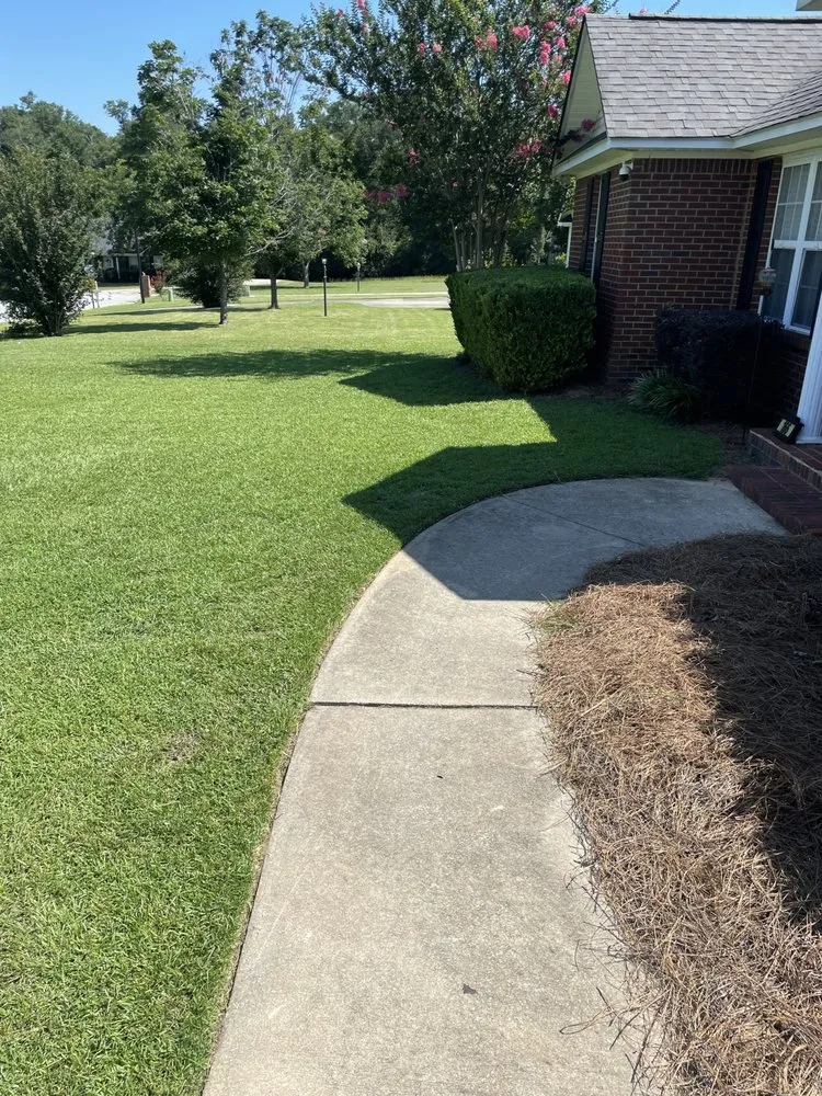 Expert landscape installation experts serving Albany, GA - Louis Lawn Care Service