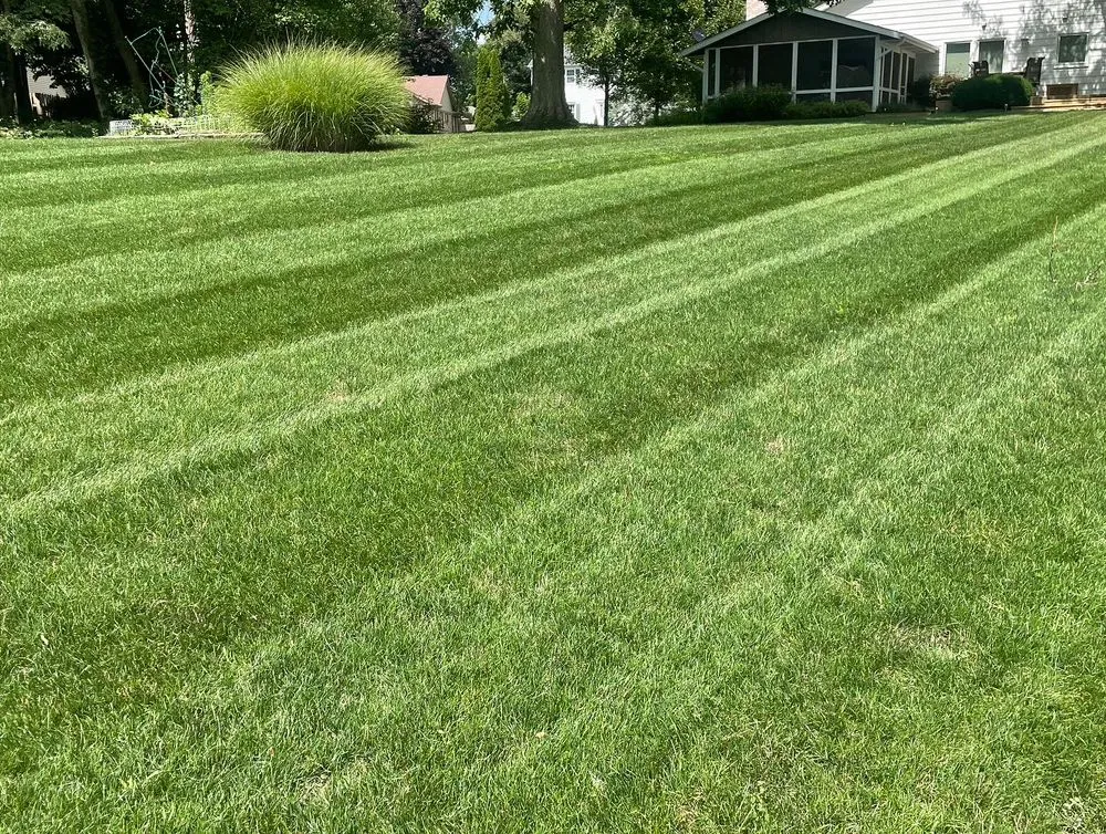 Professional landscape design in South Bend, IN - Louis Lawncare