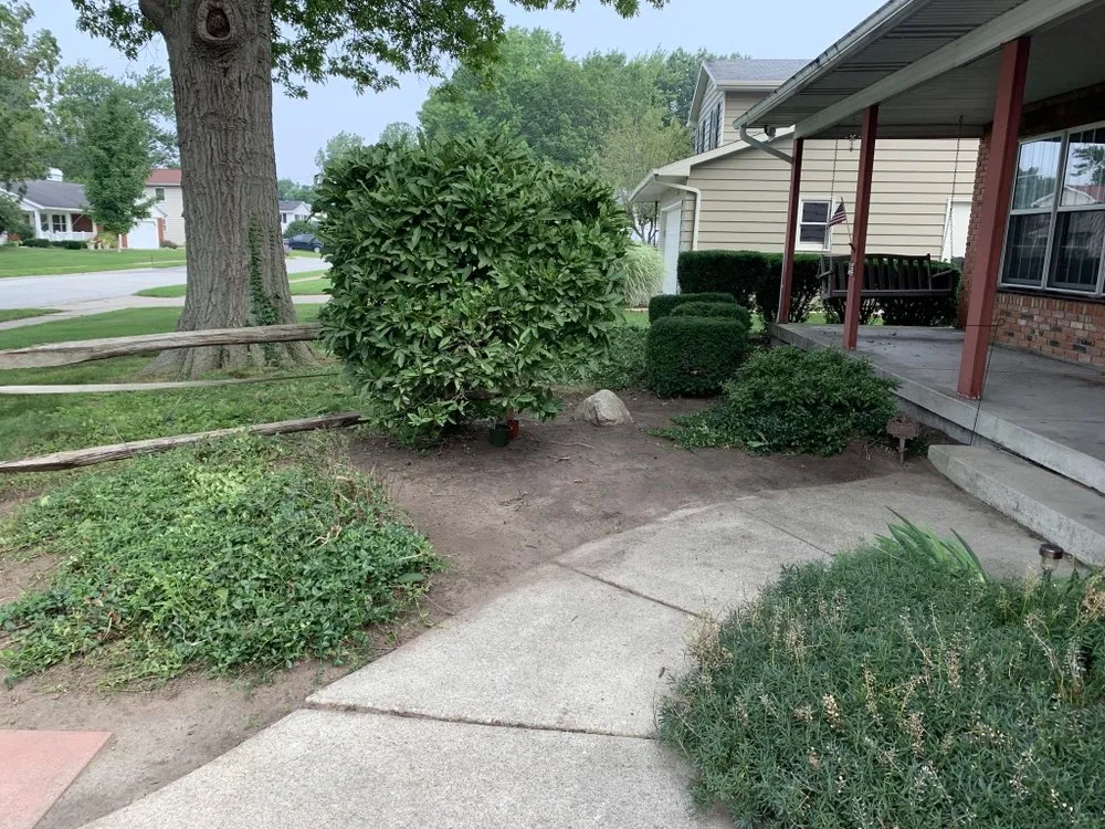 Expert lawn mowing service in South Bend, IN by Louis Lawncare