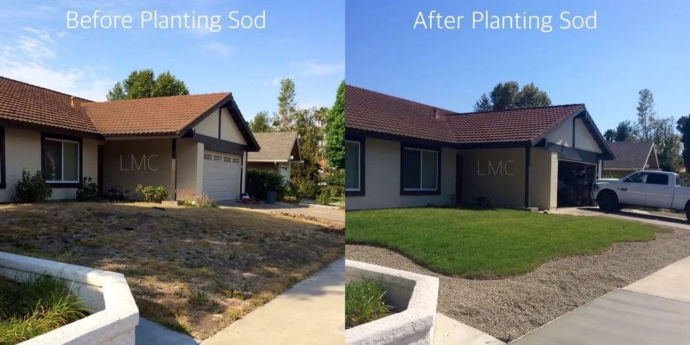 Top-rated landscape installation for residential properties in Santa Ana, CA by Louis MC Tree Service