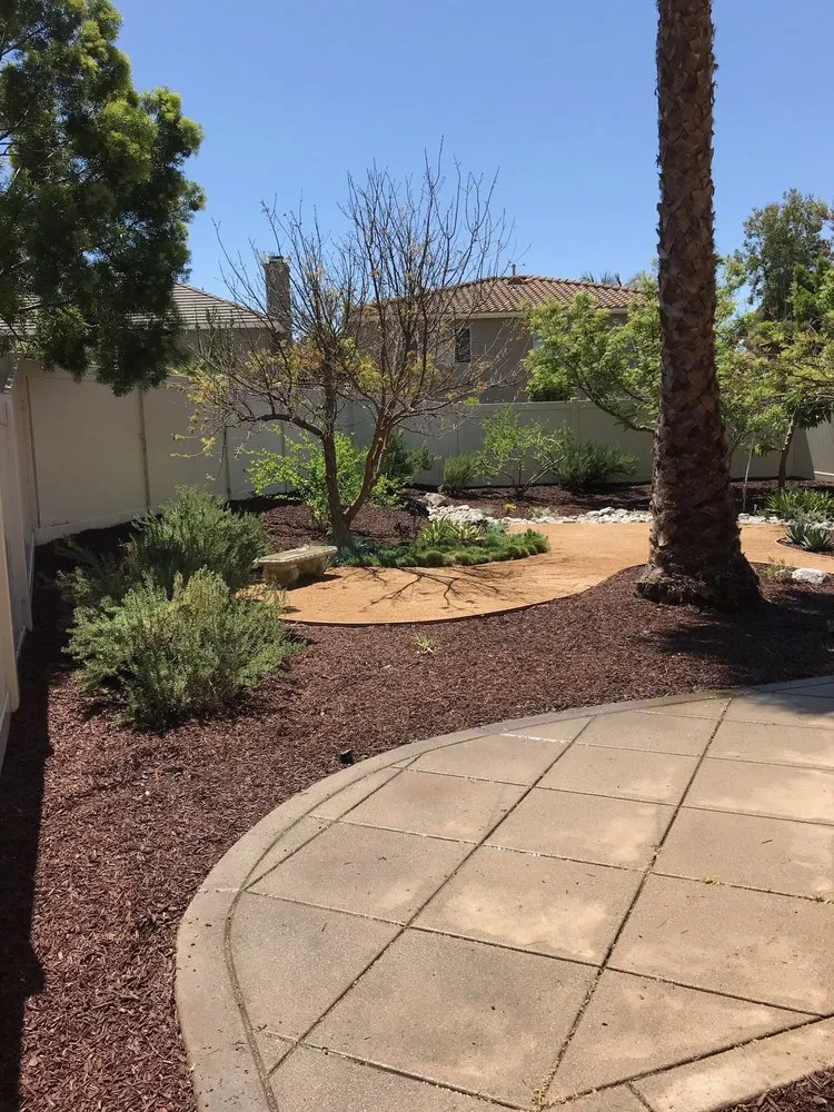 Affordable yard maintenance in Santa Ana, CA by Louis MC Tree Service