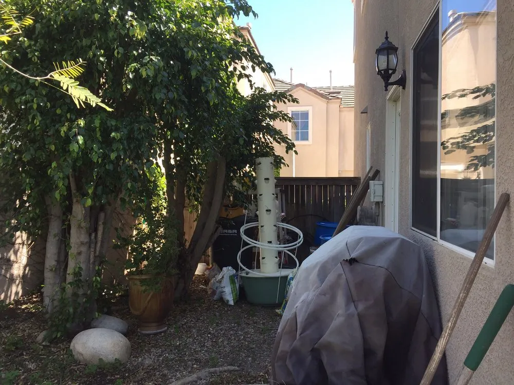 Trusted lawn mowing service for homes across Santa Ana, CA - Louis MC Tree Service