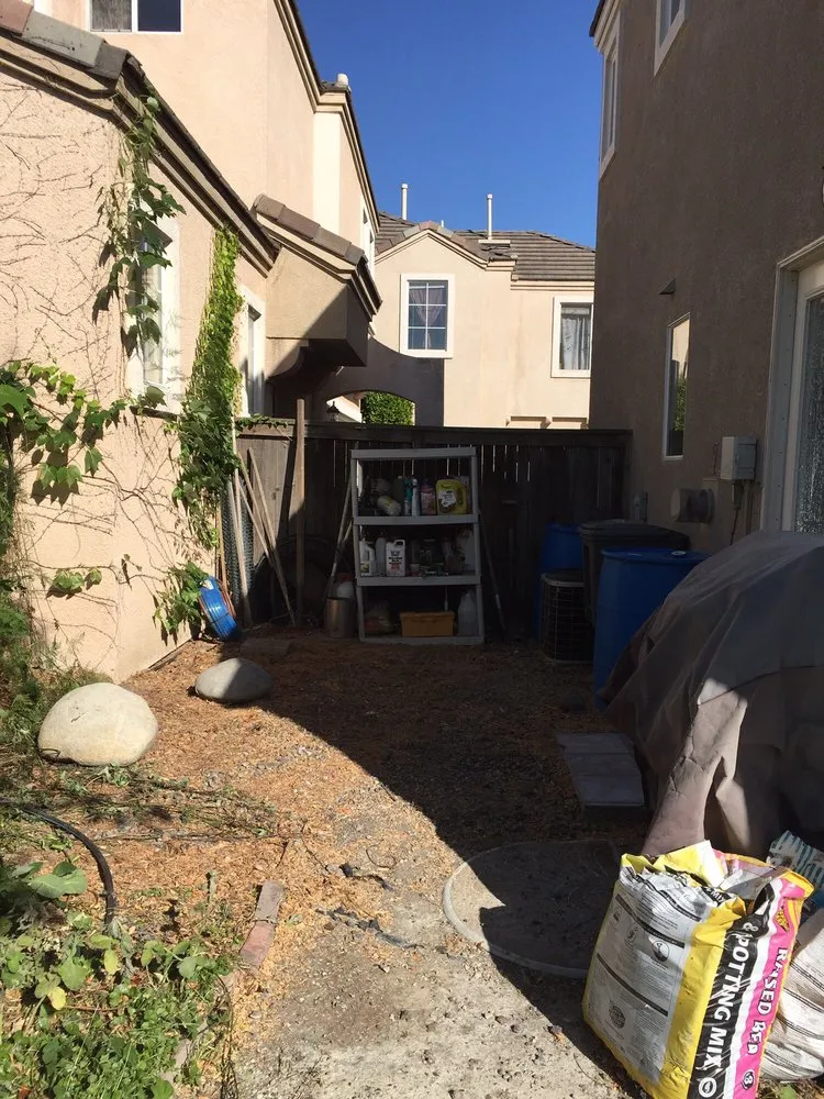 Affordable outdoor landscaping for residential properties across Santa Ana, CA - Louis MC Tree Service