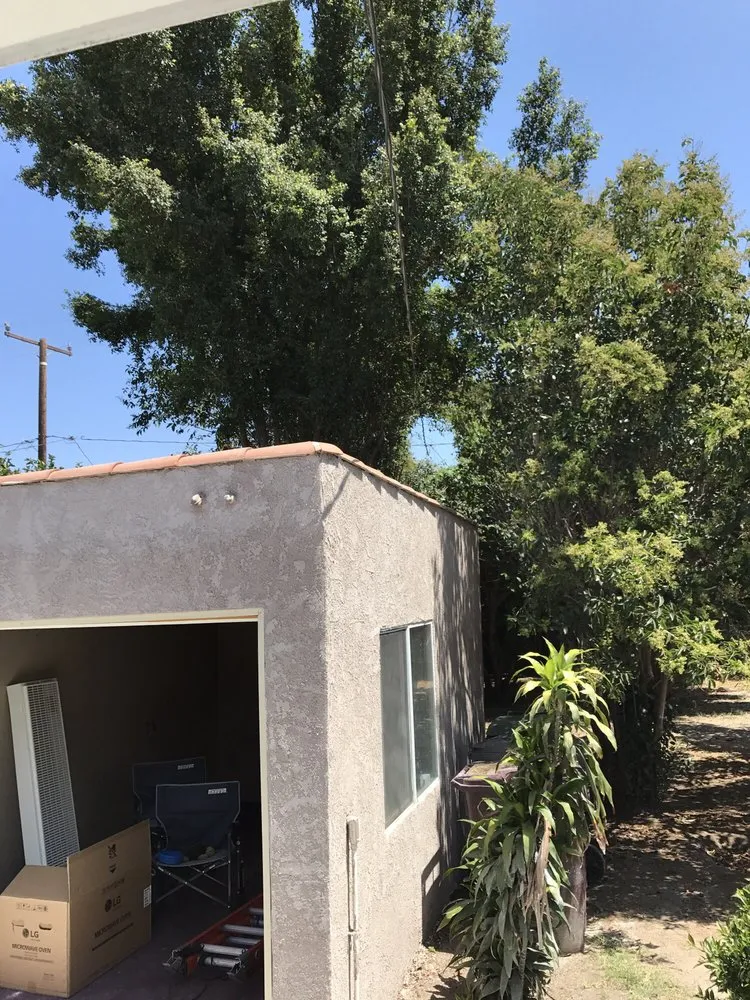 Professional landscape design with custom design in Santa Ana, CA by Louis MC Tree Service