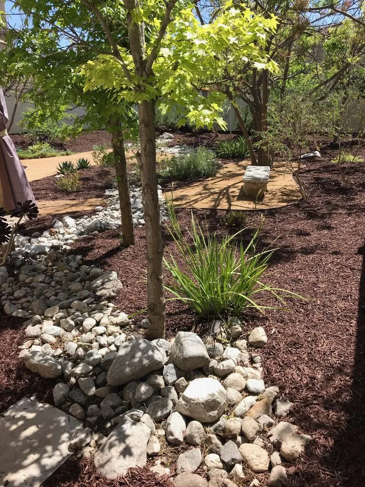 Expert lawn mowing service experts serving Santa Ana, CA - Louis MC Tree Service