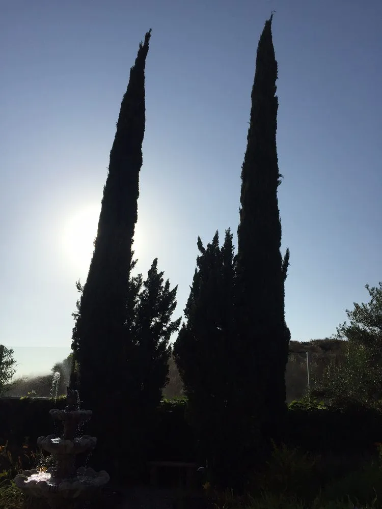 Trusted yard maintenance for outdoor upgrades in Santa Ana, CA by Louis MC Tree Service