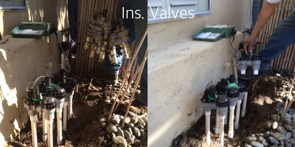 Top-rated landscaping services for year-round maintenance in Santa Ana, CA by Louis MC Tree Service