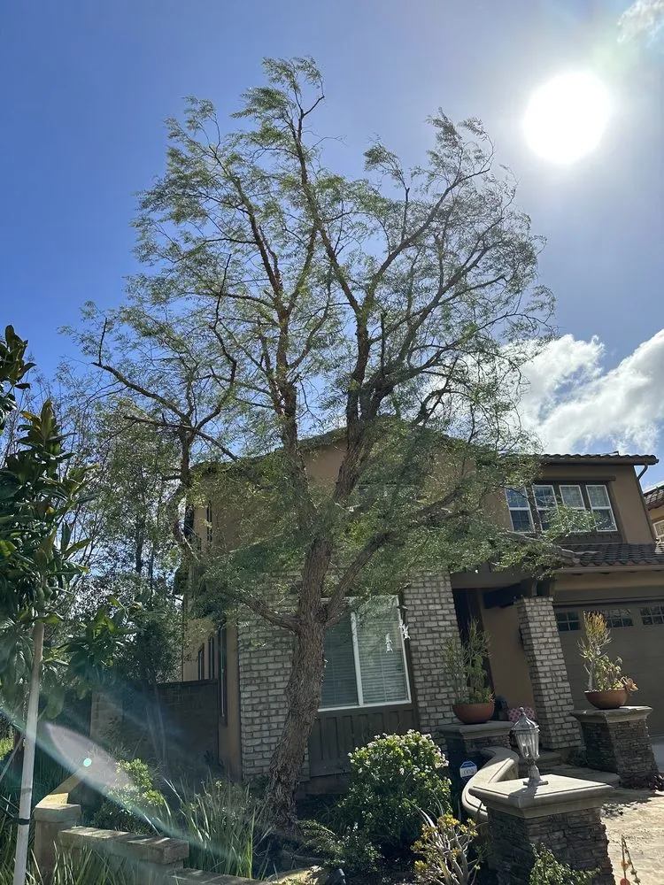 Trusted garden landscaping for beautiful yards in Santa Ana, CA by Louis MC Tree Service