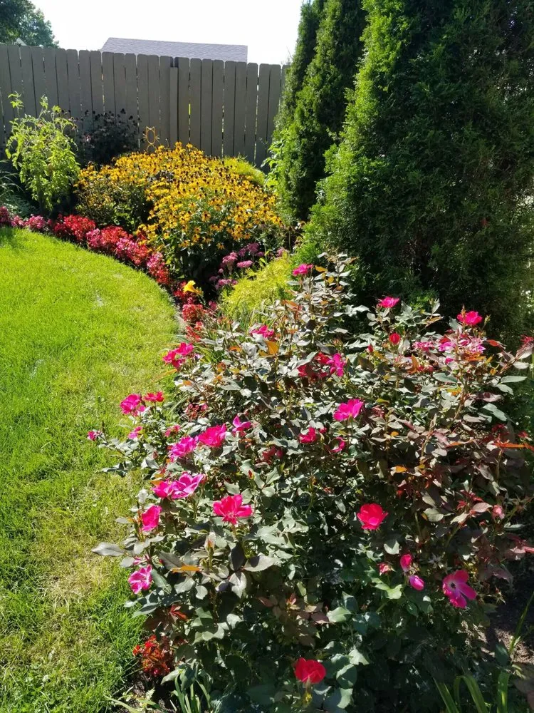 Custom yard maintenance in Macomb county, MI - Louis Mihelich Landscape