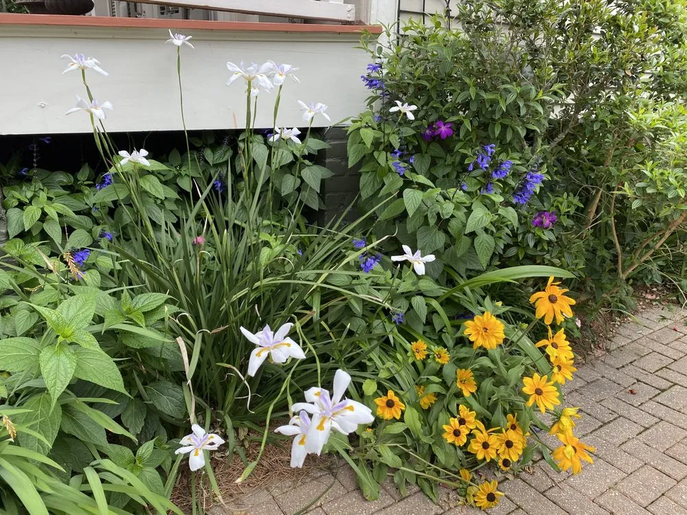 Custom landscape design in New Orleans, LA - Louis N Vitrano