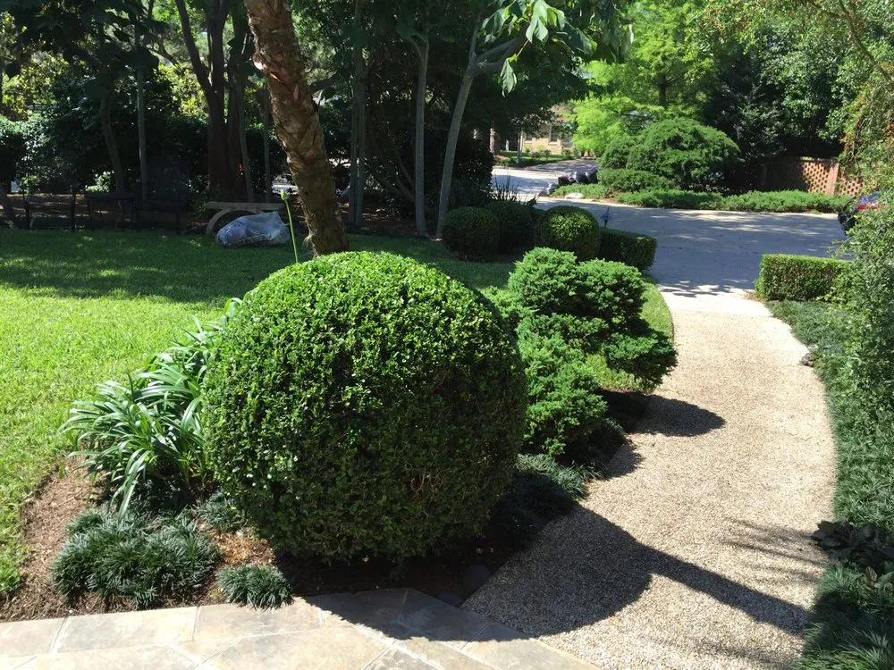 Custom residential landscaping experts serving New Orleans, LA - Louis N Vitrano