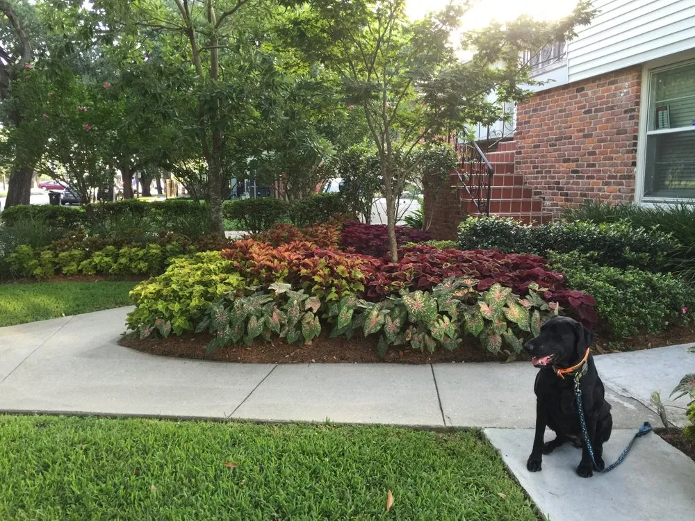 Reliable landscape design in New Orleans, LA by Louis N Vitrano