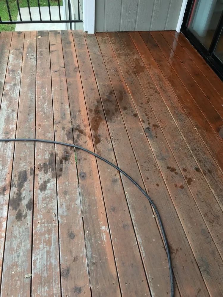 Professional yard maintenance experts serving Sacramento, CA - Louis