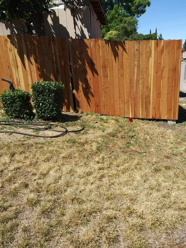Reliable landscape installation near you in Sacramento, CA by Louis