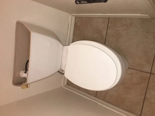 Reliable landscaping services experts serving Sacramento, CA - Louis