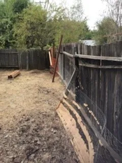 Custom landscape design in Sacramento, CA - Louis