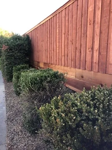 Affordable outdoor landscaping in Sacramento, CA by Louis