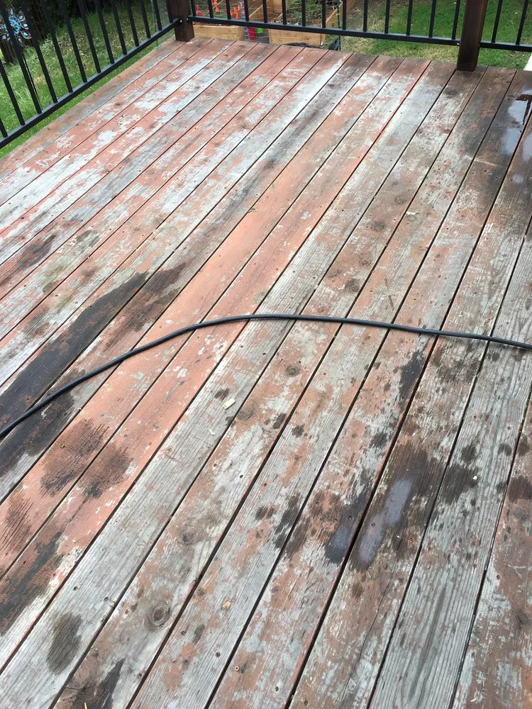 Local yard cleanup service for residential properties across Sacramento, CA - Louis