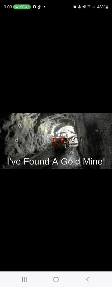 Affordable residential landscaping experts serving Baton Rouge, LA - Louisiana Gold Miners