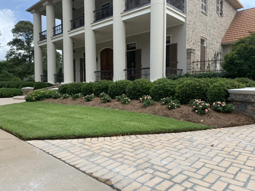 Affordable yard cleanup service for homes across Alexandria, LA - Louisiana Horticulture Services