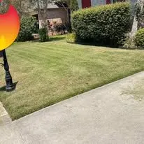 Local landscape design in Baton Rouge, LA - Louisiana Hot Landscaping