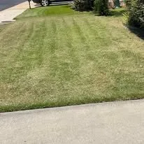 Local lawn care service experts serving Baton Rouge, LA - Louisiana Hot Landscaping