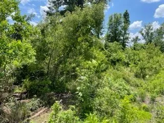 Top-rated landscape design in Lake Charles, LA by Louisiana Land Management