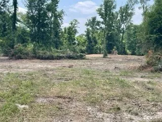 Top-rated outdoor landscaping experts serving Lake Charles, LA - Louisiana Land Management