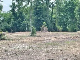 Top-rated yard maintenance with custom design across Lake Charles, LA - Louisiana Land Management