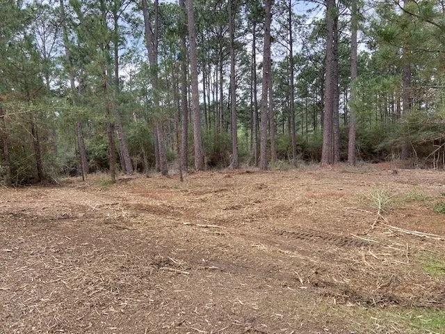 Professional yard maintenance in Lake Charles, LA by Louisiana Land Management
