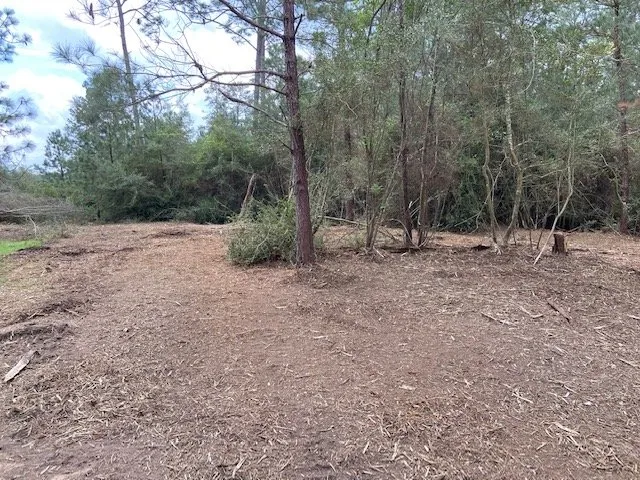 Local lawn mowing service in Lake Charles, LA - Louisiana Land Management