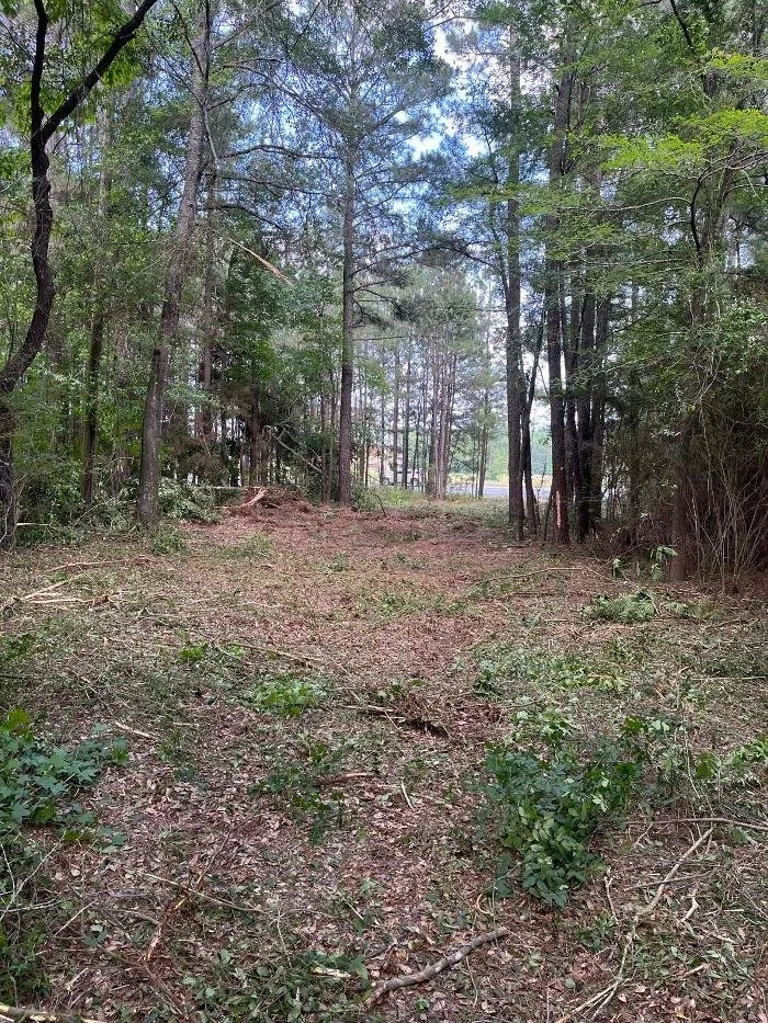 Professional residential landscaping for residential properties in Heflin, LA by Louisiana Landscape Services