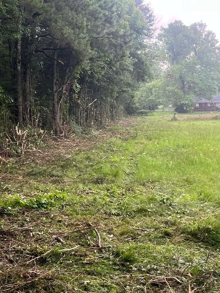 Affordable yard maintenance experts serving Heflin, LA - Louisiana Landscape Services